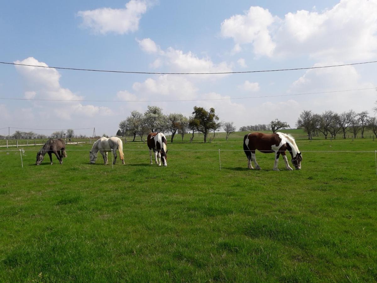 Gite La Besse, Claudon מראה חיצוני תמונה